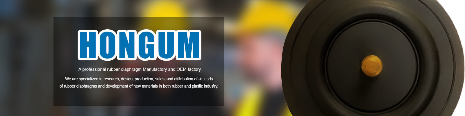 Solenoid Valf Diyaframı