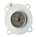 C113443 C113444 ASCO Pulse Valve Diaphragm SCG353A043 SCG353A044