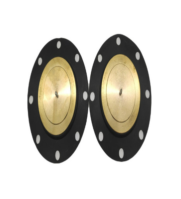 Ölçüm Pompaları Kimyasalları Soğutma Transferi İçin Kompozit PTFE EPDM Diyafram