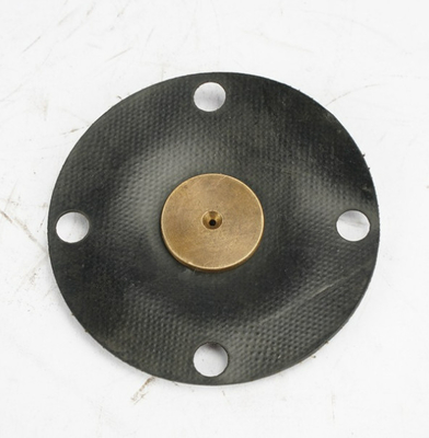 Aquasystem Ölçüm Pompası İçin Kompozit PTFE EPDM Diyafram