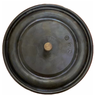 DN8 DN200 Dalgıç Valf Pompası Ölçüm Pompası Uyumlu Diyafram PTFE EPDM
