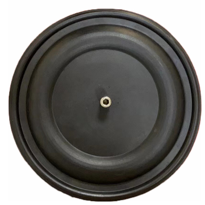 Dozlama Reaktifi Besleme Ölçüm Pompası Fit Diyafram EPDM PTFE Ölçüm Pompası Diyafram