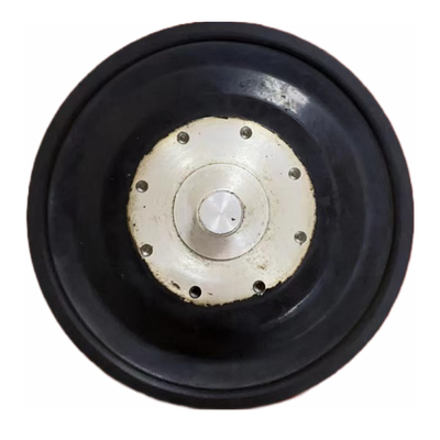 Dozlama Reaktifi Besleme Ölçüm Pompası Fit Diyafram EPDM PTFE Ölçüm Pompası Diyafram
