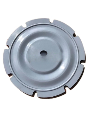 PTFE EPDM FKM ölçüm pompası Diyafram mühürü Max. Diferansiyel sıcaklık 50°C