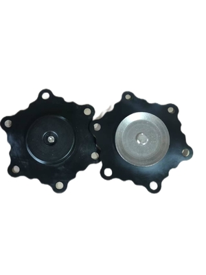 Filme Bağlantı Paslanmaz Çelik Solenoid Valf Diyafram 24V 0-10 Bar Basınç Direnci