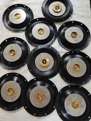 Paslanmaz çelik 24V 10 bar basınç direnci ile solenoid valf diafragması