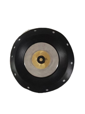Paslanmaz çelik diafragma solenoid valfi 10 bar basınç direnci iplik bağlantısı
