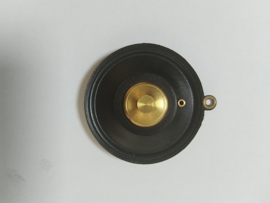 2W Solenoid Valf Diyaframı Hava Su Yağ sıvısı 0-10 Bar Basınç İp Bağlantısı