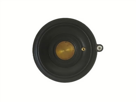 3/4 İnç Orifis Boyutu, Yüksek Korozyon Direnci ve Valf Performansı İçin Solenoid Bobin Tipi Özellikli Solenoid Valf Diyaframı