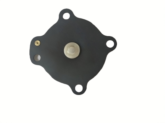 Siyah Solenoid Valf Diyaframı ve Filmiş Bağlantı ile Temperatür Kontrolü Basitleştirildi